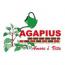 Ritratto di Associazione Agapius